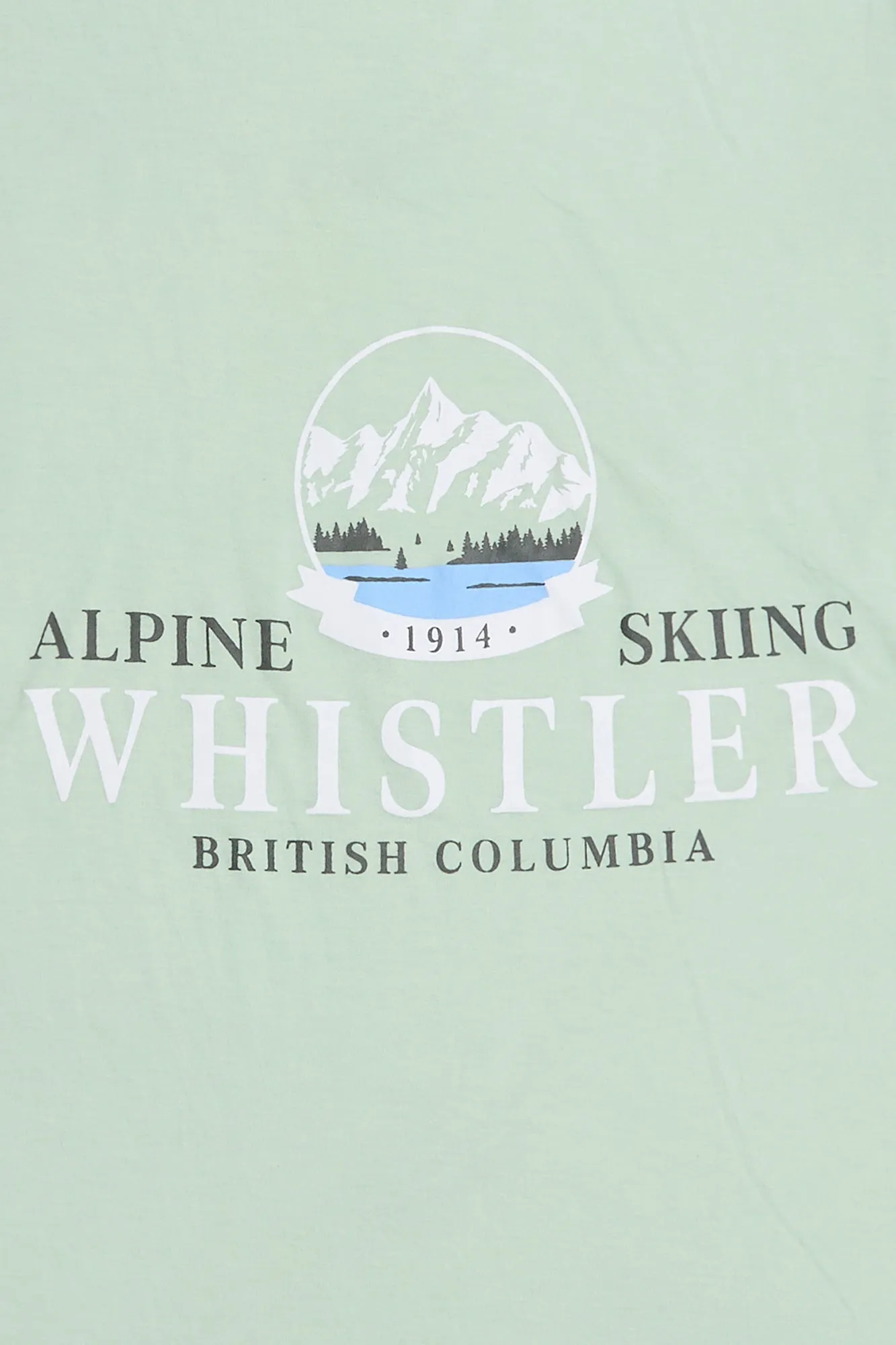 Alpine Skiing Whistler Graphic Relaxed Tee